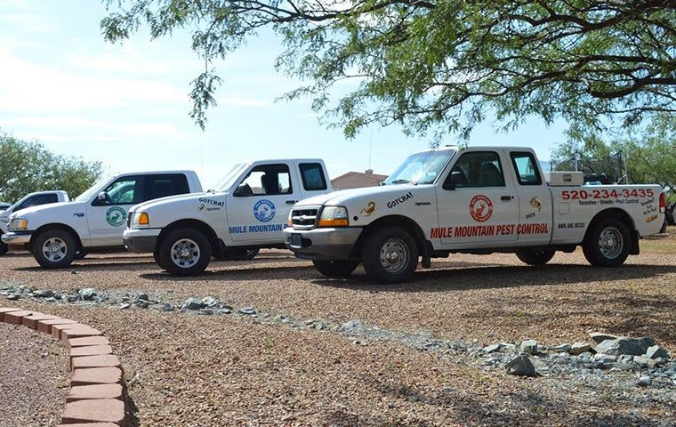 Our Mule Mountain Pest Control Work Trucks